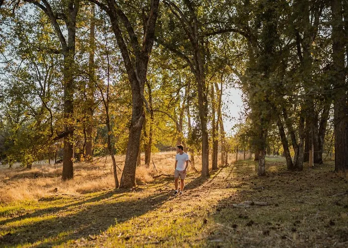 Lovers Nest By Casa Oso With Private Hiking Trails And Pond