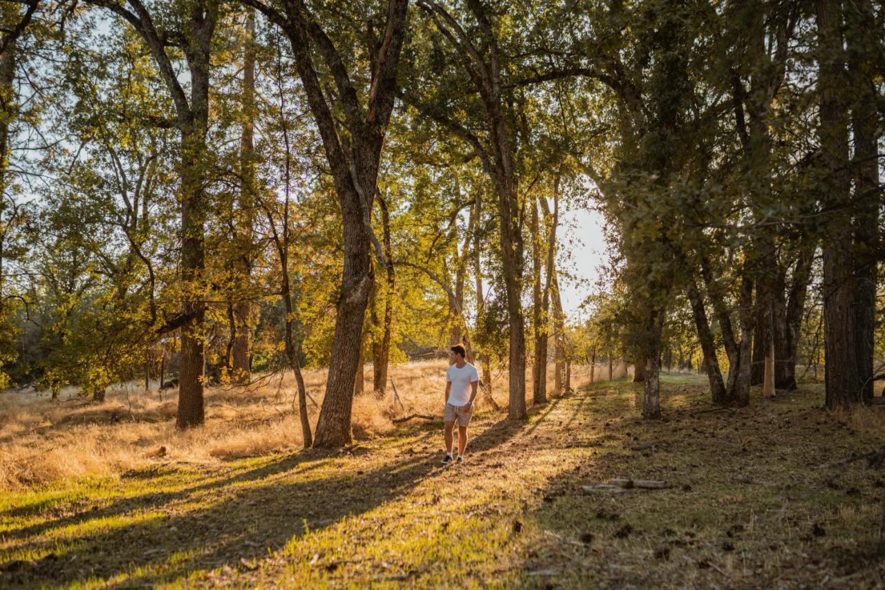 Holiday home Lovers Nest By Casa Oso With Private Hiking Trails And Pond